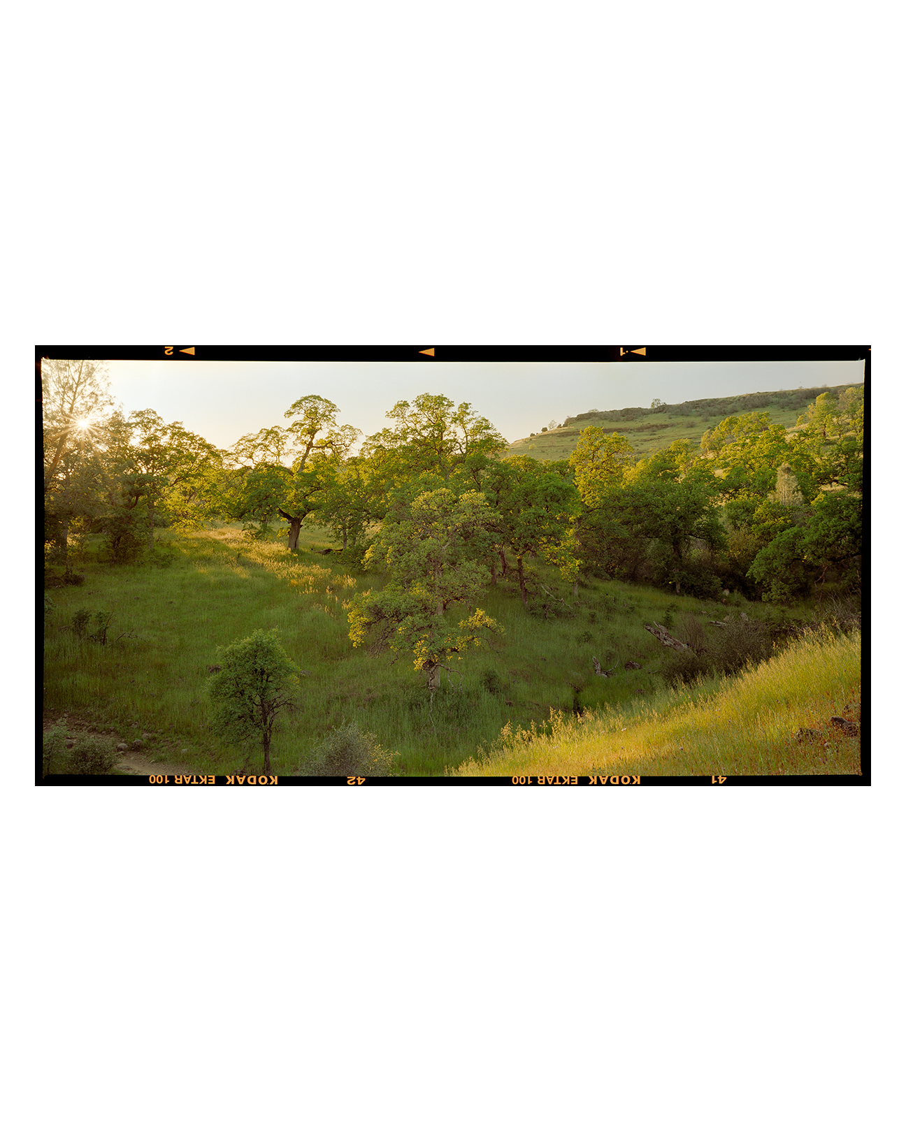 Brendan Flesher @expiredbren is a film photographer from California and Germany. Image shot on #etkar100.
"Upper Bidwell Park, California, 2023
Toyo 45Aii w/ Cambo 6x12 Back, 90mm f/5.6 Grandagon, Kodak Ektar 100." - Brendan