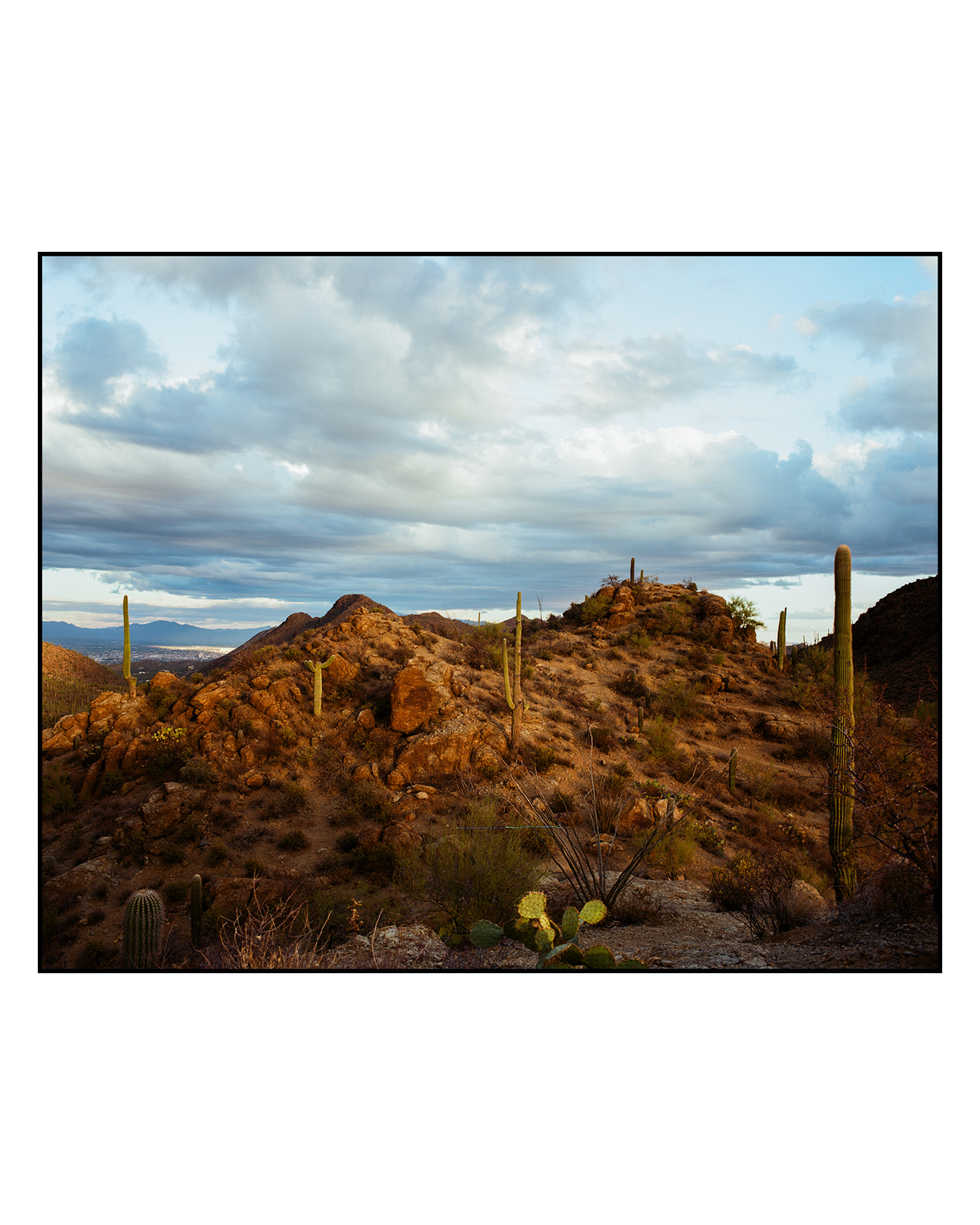 Carter Nelson @carter_nelson_travel is a film photographer from South Dakota. Images shot on #ektar100, #portra400 and #gold200.

"These photos were all taken on a southwest road trip I took this winter. On this trip I feel like I’ve finally started to “get” film, on a technical level. It’s learning the process of how to properly expose film in different situations, and choosing different film stocks for each occasion, that makes it feel like you’re really learning an art, as opposed to just spinning around with a digital camera in your hand and hoping you get lucky. The characteristics of film photos are what drew me to it as a beginner, but being able to learn after many mistakes and regain control of the process is what is the most rewarding. Actually, I think the most rewarding part is licking that little sticky strip at the end of the roll." - Carter