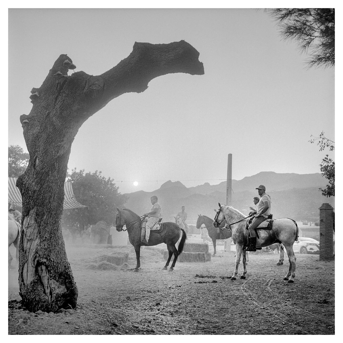 ⠀⁠
📸: @jsevrard⁠
🎞: Kodak #400TX⁠
⠀⁠
#KodakFilm⁣⁠
#KodakProfessional⁠
⠀⁠
“I have been photographing ribbon race in Andalusia for two years, using a Rolleiflex and Kodak Tri-X. I like film for the unique atmosphere it creates, the grain (I often expose at 1600) and the fact that I have to shoot a little but shoot well!”