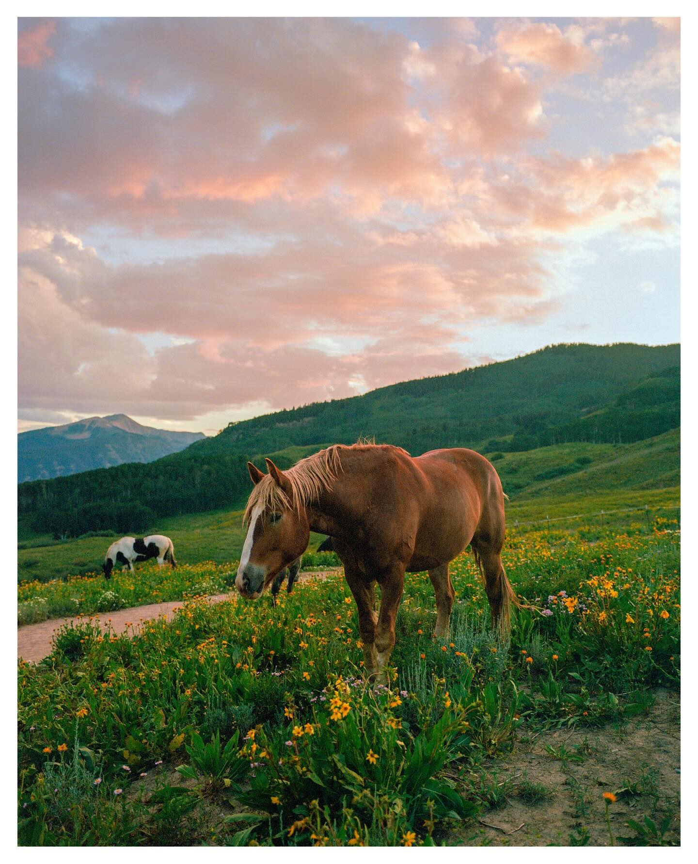 ⠀⁠
📸: @santomarco 
🎞: Kodak #Portra400⁠ & #Portra800
⠀⁠
#KodakFilm⁣⁠
#KodakProfessional⁠
⠀⁠
“I love shooting Portra because of the flexibility and how it handles dynamic, bright scenes. The color palette is also reliable and it aligns closely with my vision.”