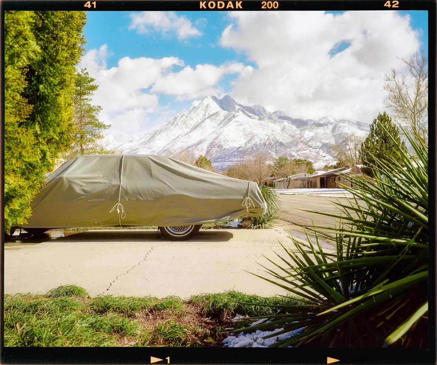 ⠀⁠
📸: @flippy2good⁠
🎞: Kodak #Gold200⁠
⠀⁠
#KodakFilm⁣⁠
#KodakProfessional⁠
⠀⁠
“My favorite part of shooting film is the intentionality. Every frame matters since I have a limited number. Even more so with only 10 shots on a roll of medium format. The highlight roll off and contrast of the blacks always pulls me back. Film just hits different ✨”