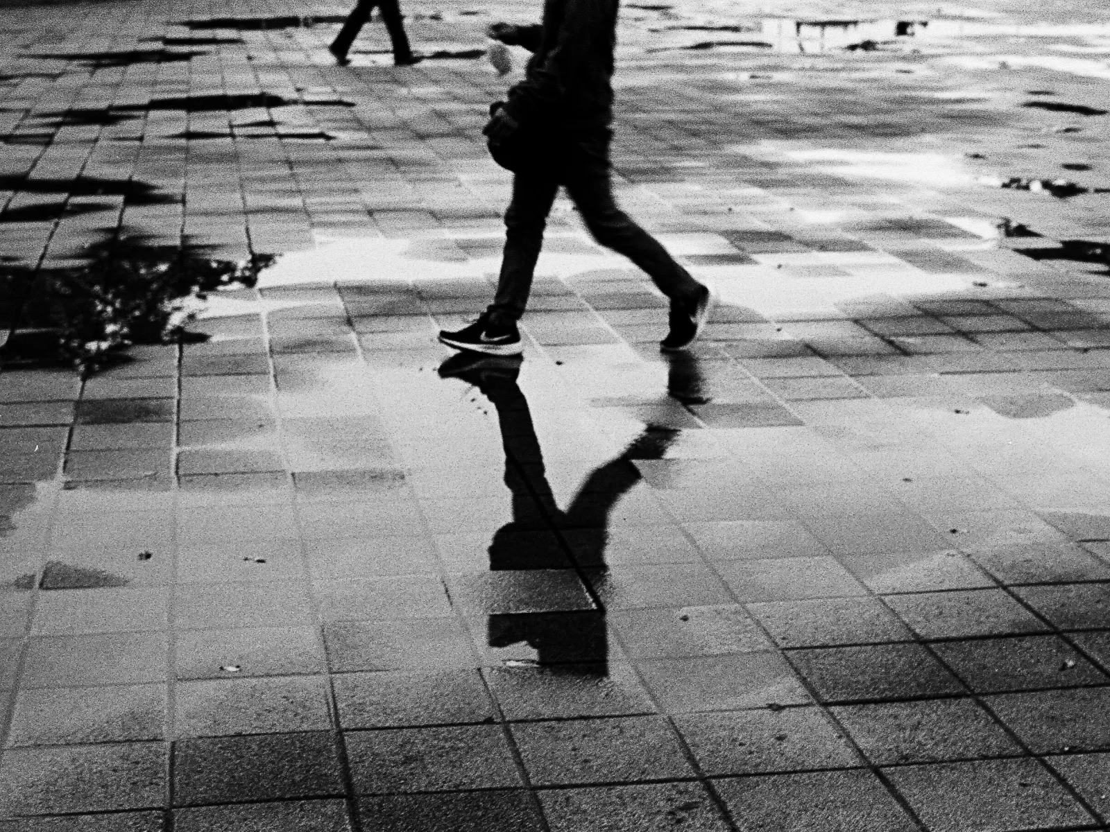 Photo by Ainsley Myles T-MAX 400