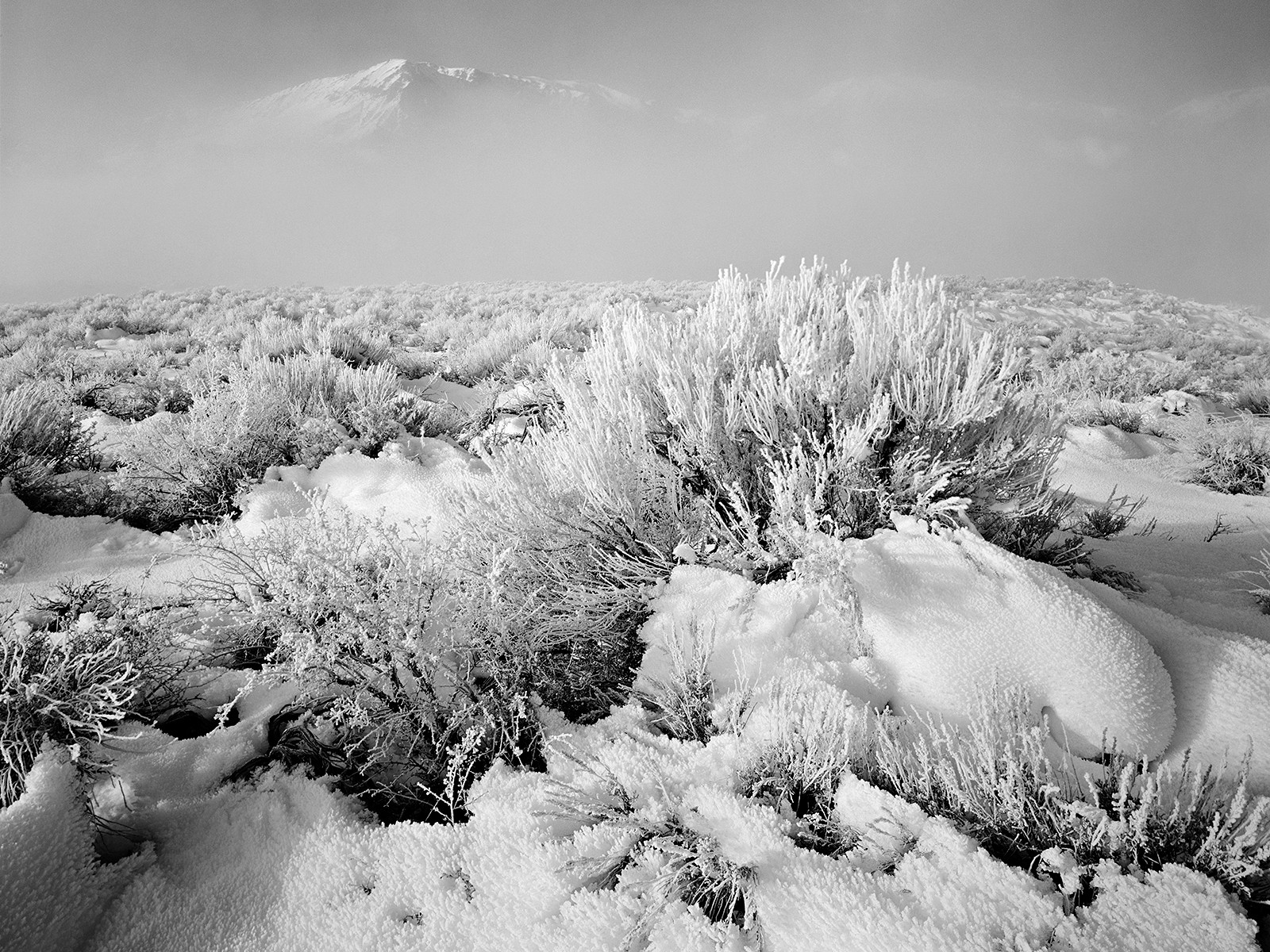 Photo by Mike Boden