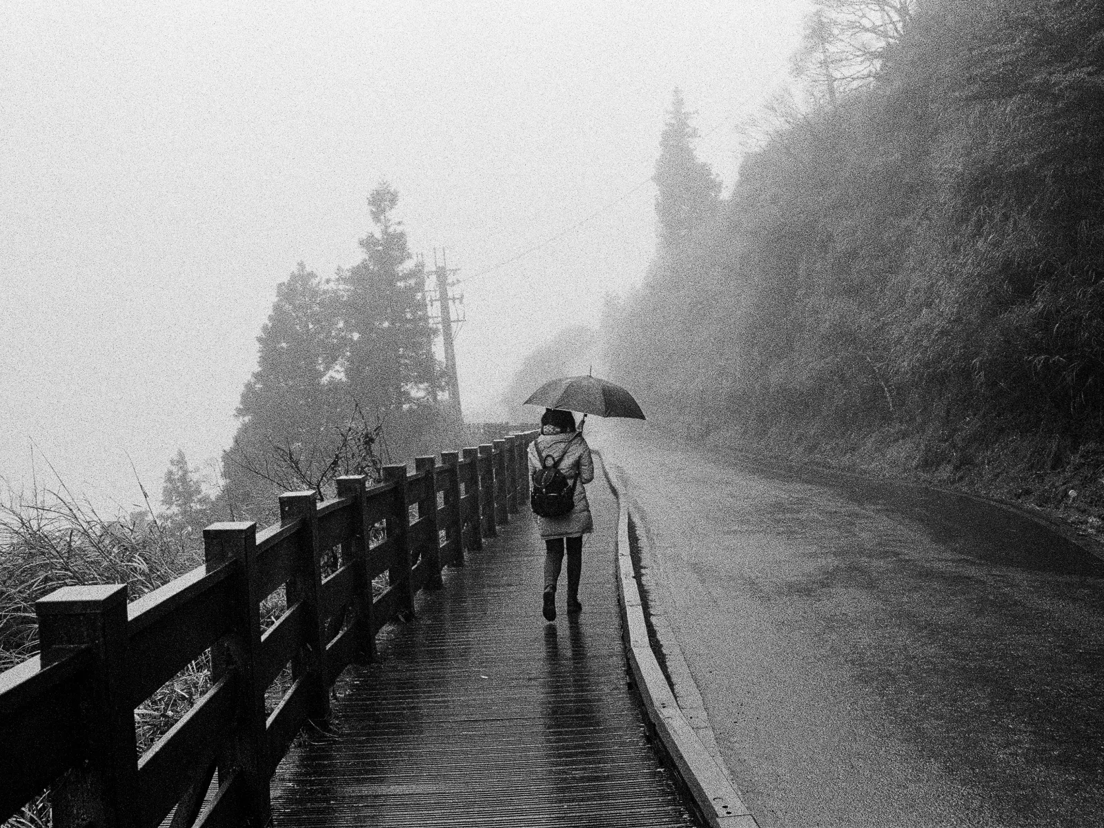 Photo by Ainsley Myles T-MAX P3200