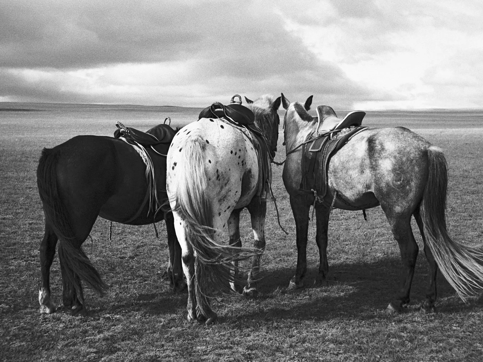 Photo by Shinnosuke Toya