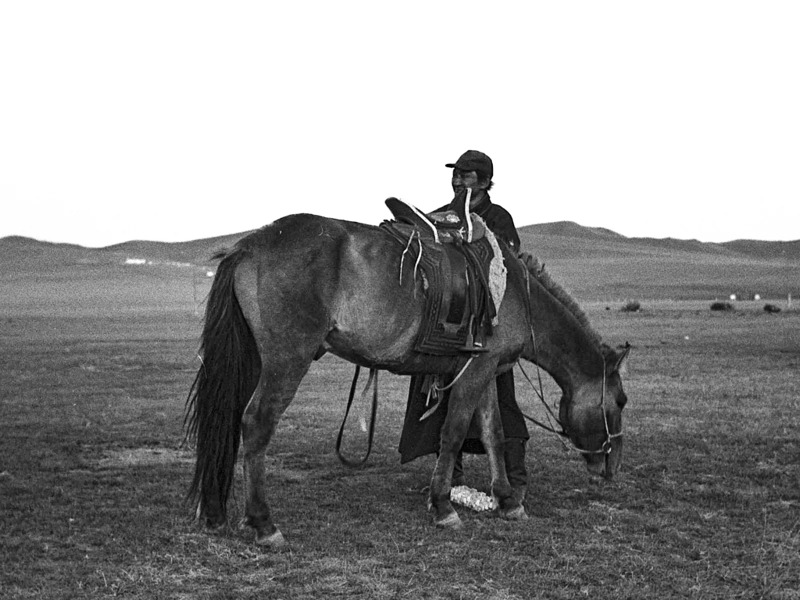 Photo by Shinnosuke Toya