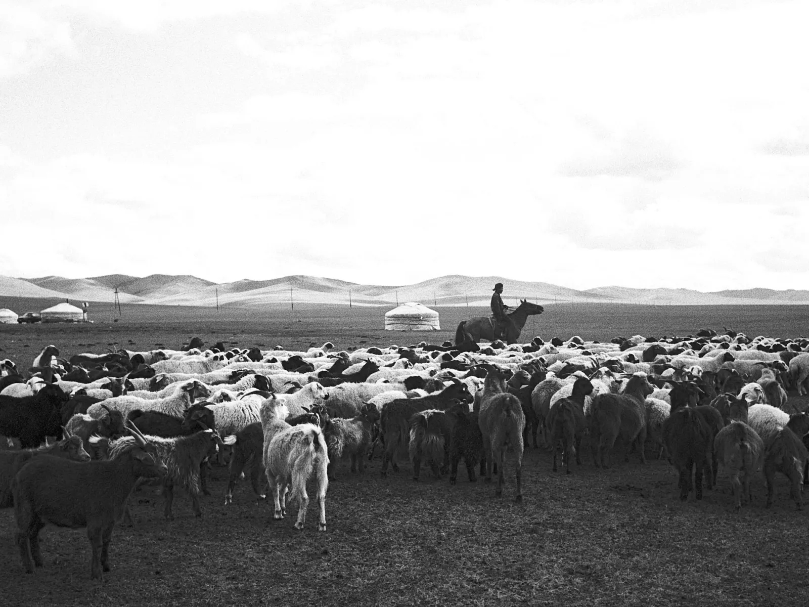 Photo by Shinnosuke Toya