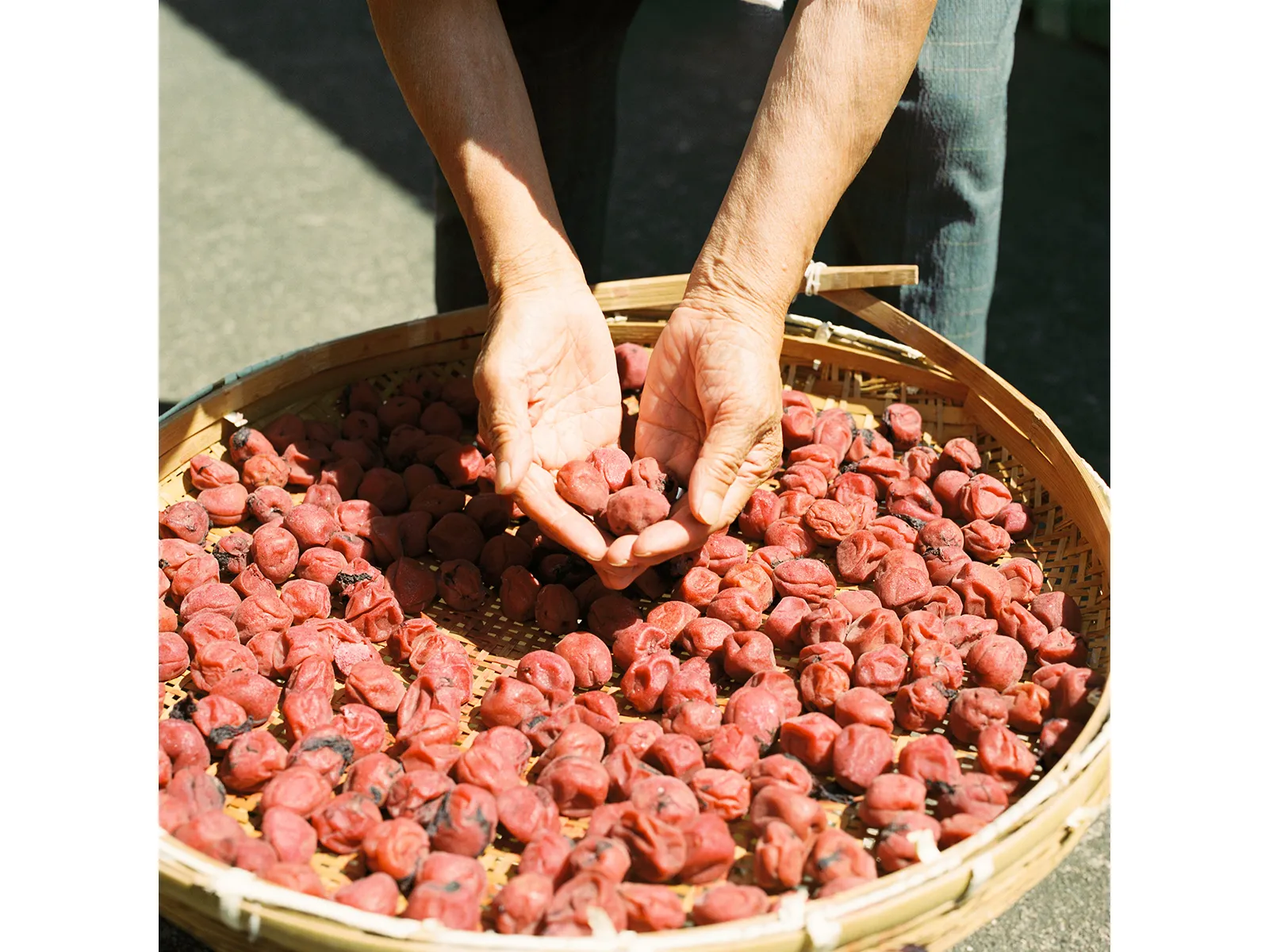 Photo by Kazuyuki Kawahara