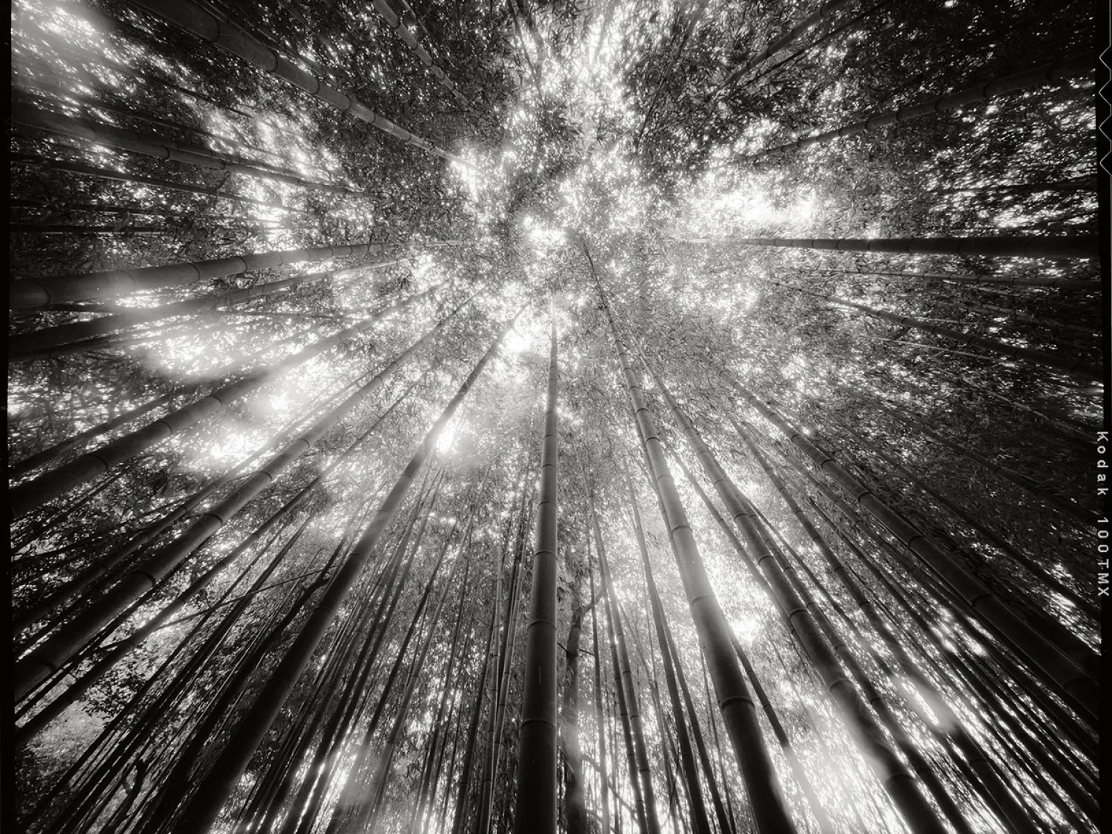 Photo by Bryan Garris 