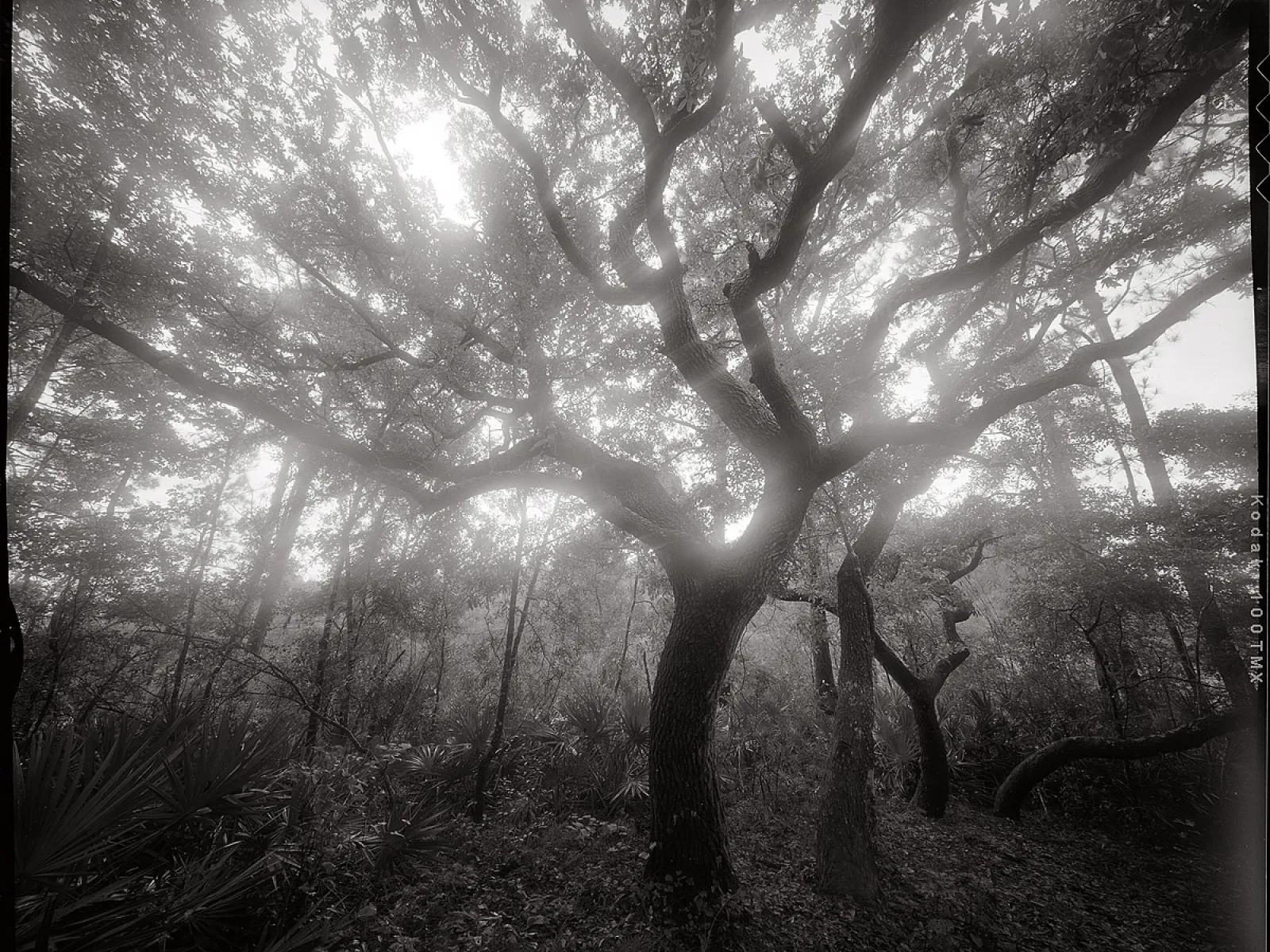 Photo by Bryan Garris