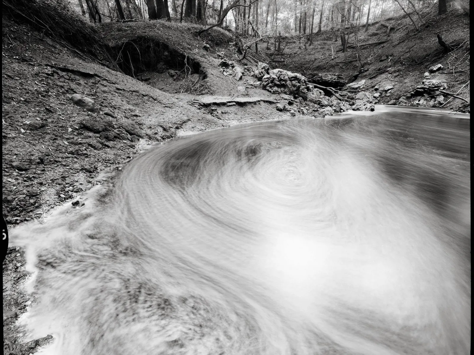 Photo by Bryan Garris