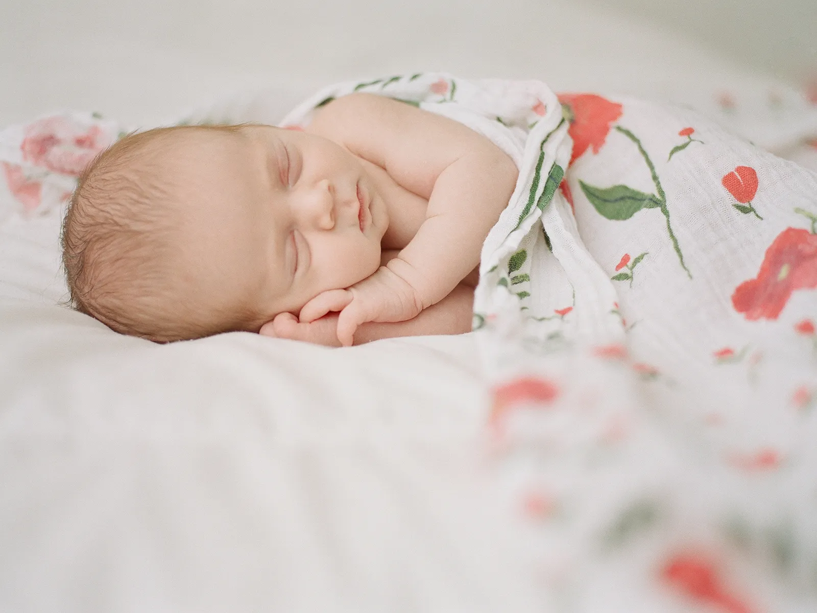 Photo by Sandra Coan