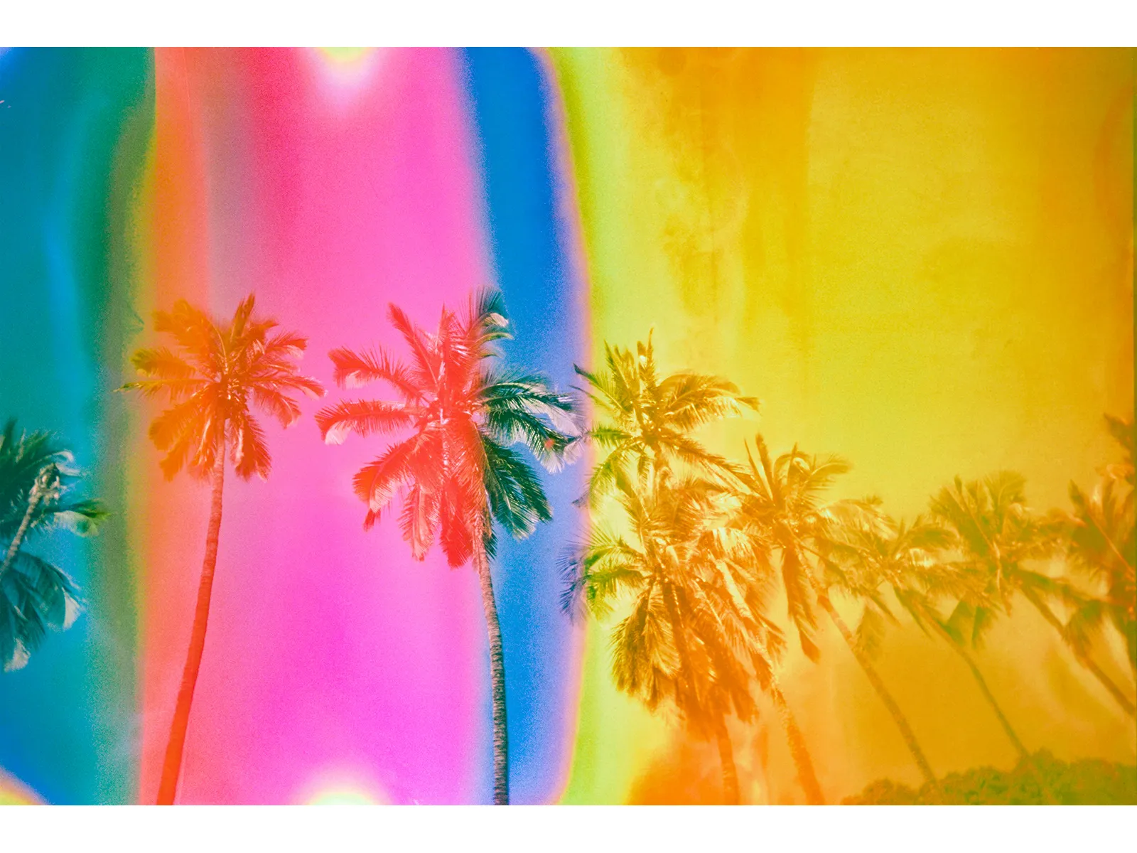 Photo by Wendy Laurel