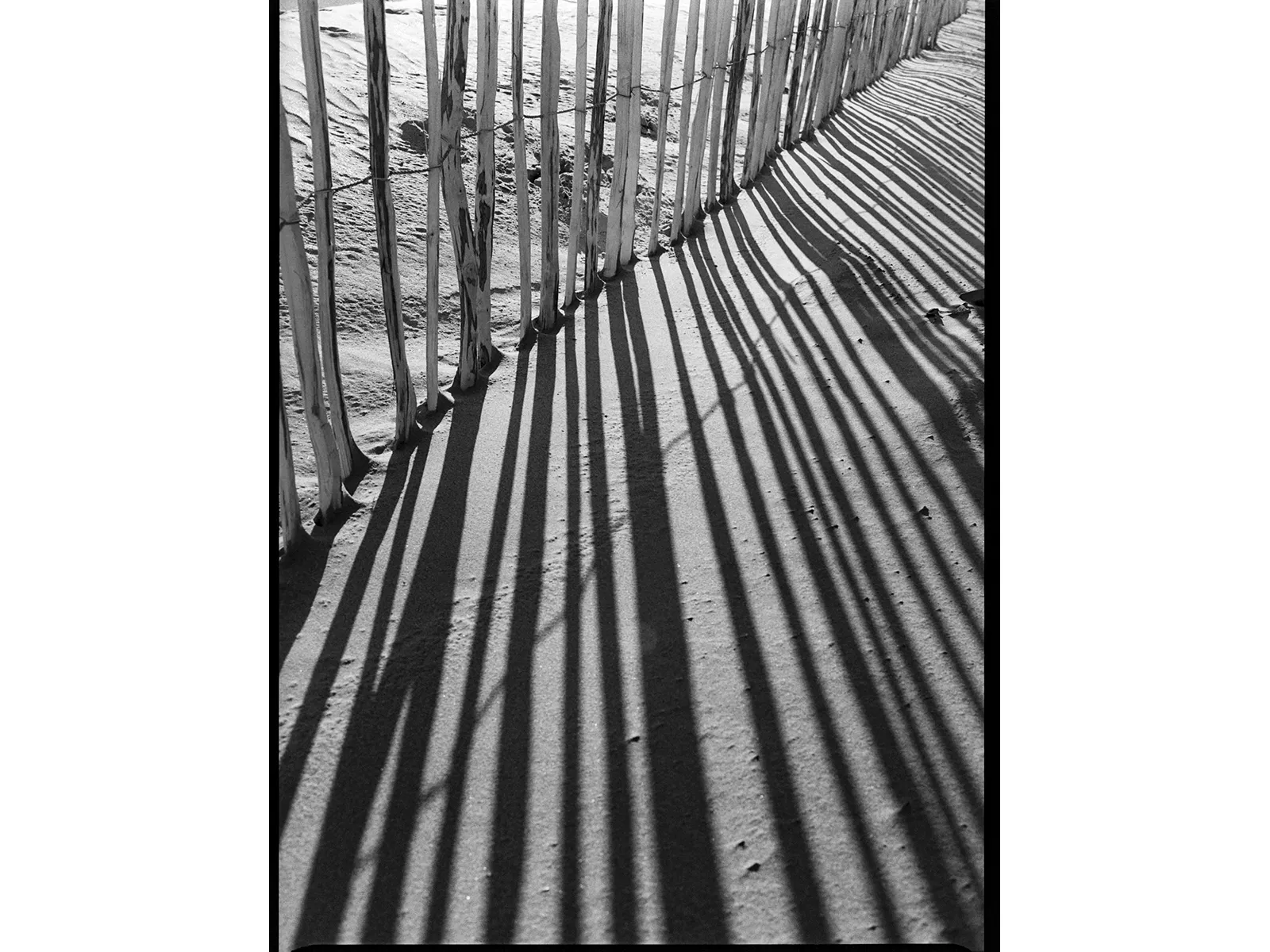 Photo by Wesley Verhoeve