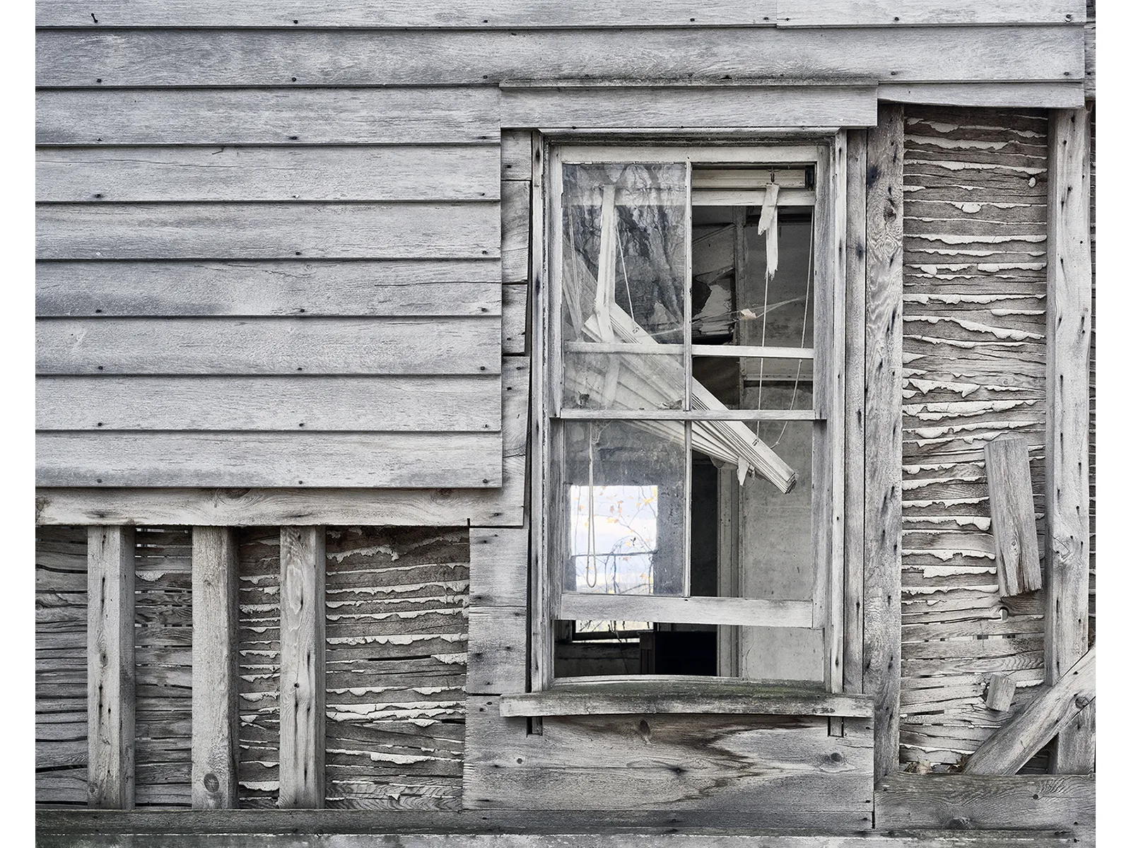 Photo by Stephen Schaub