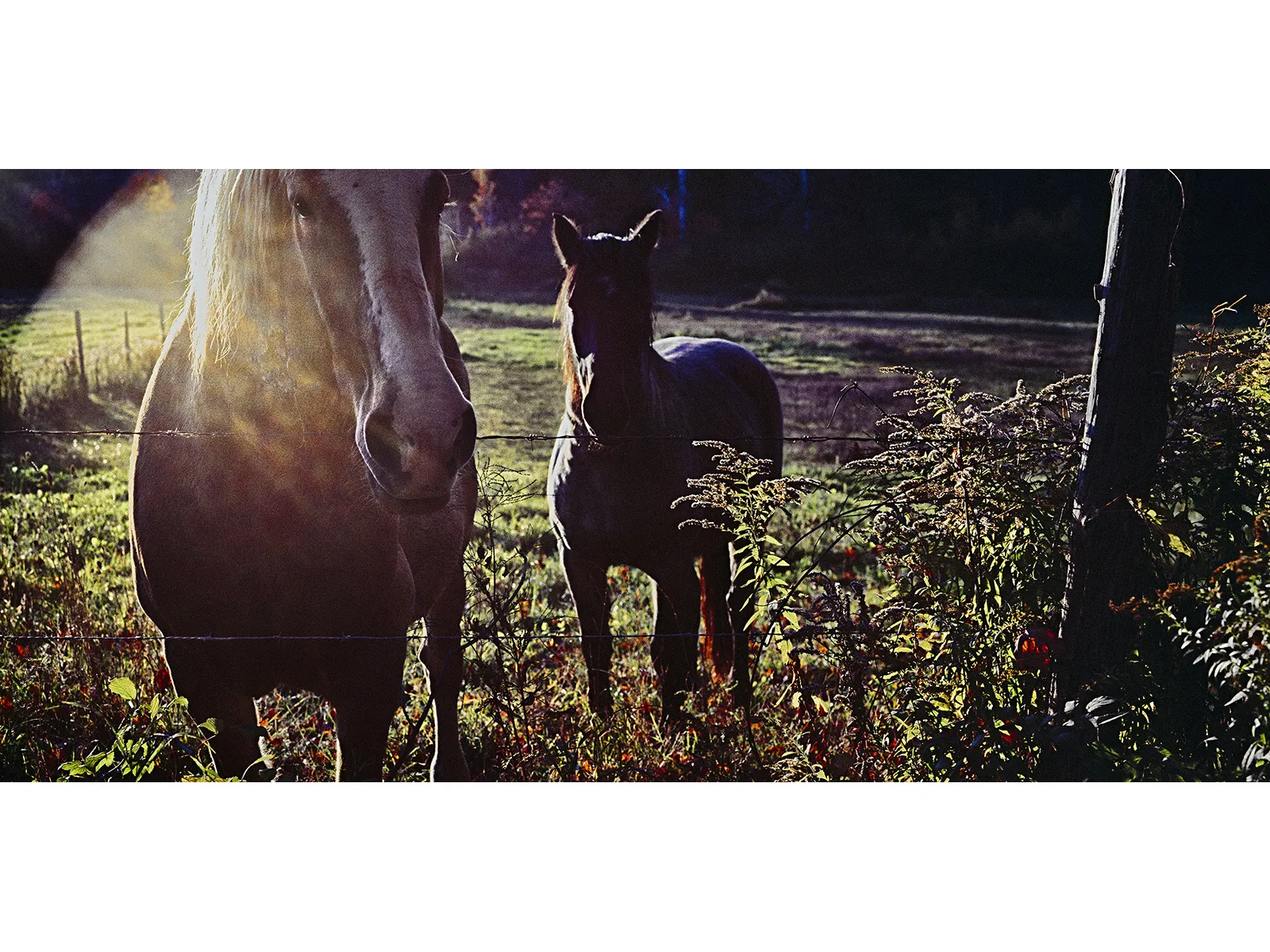 Photo by Stephen Schaub