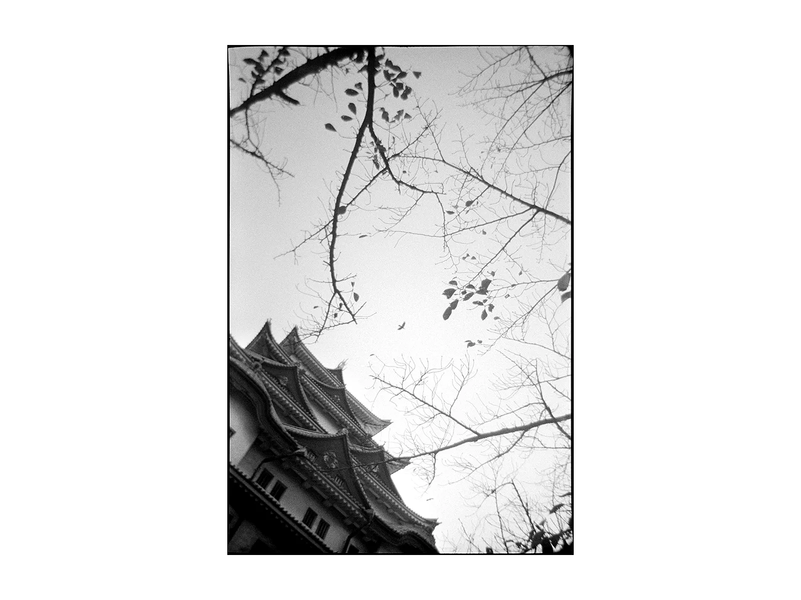 Photo by Renato Repetto ​​​​​​