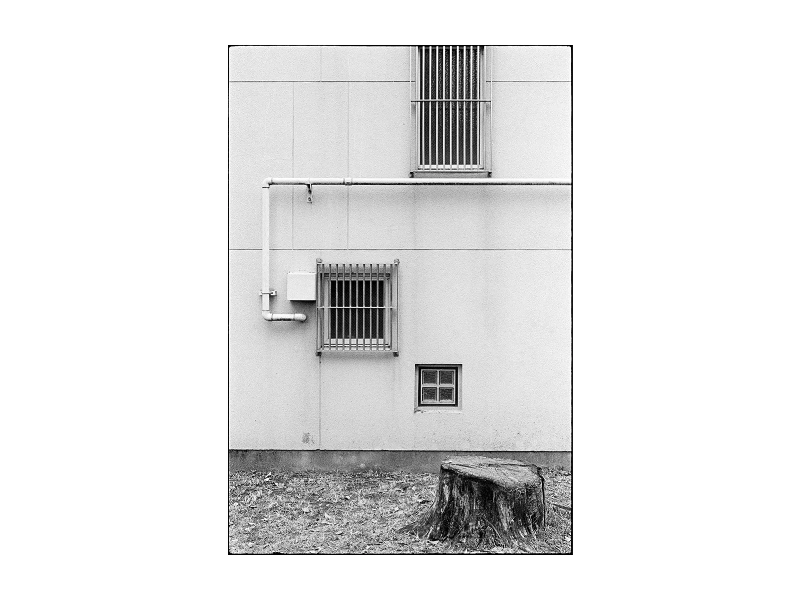 Photo by Renato Repetto