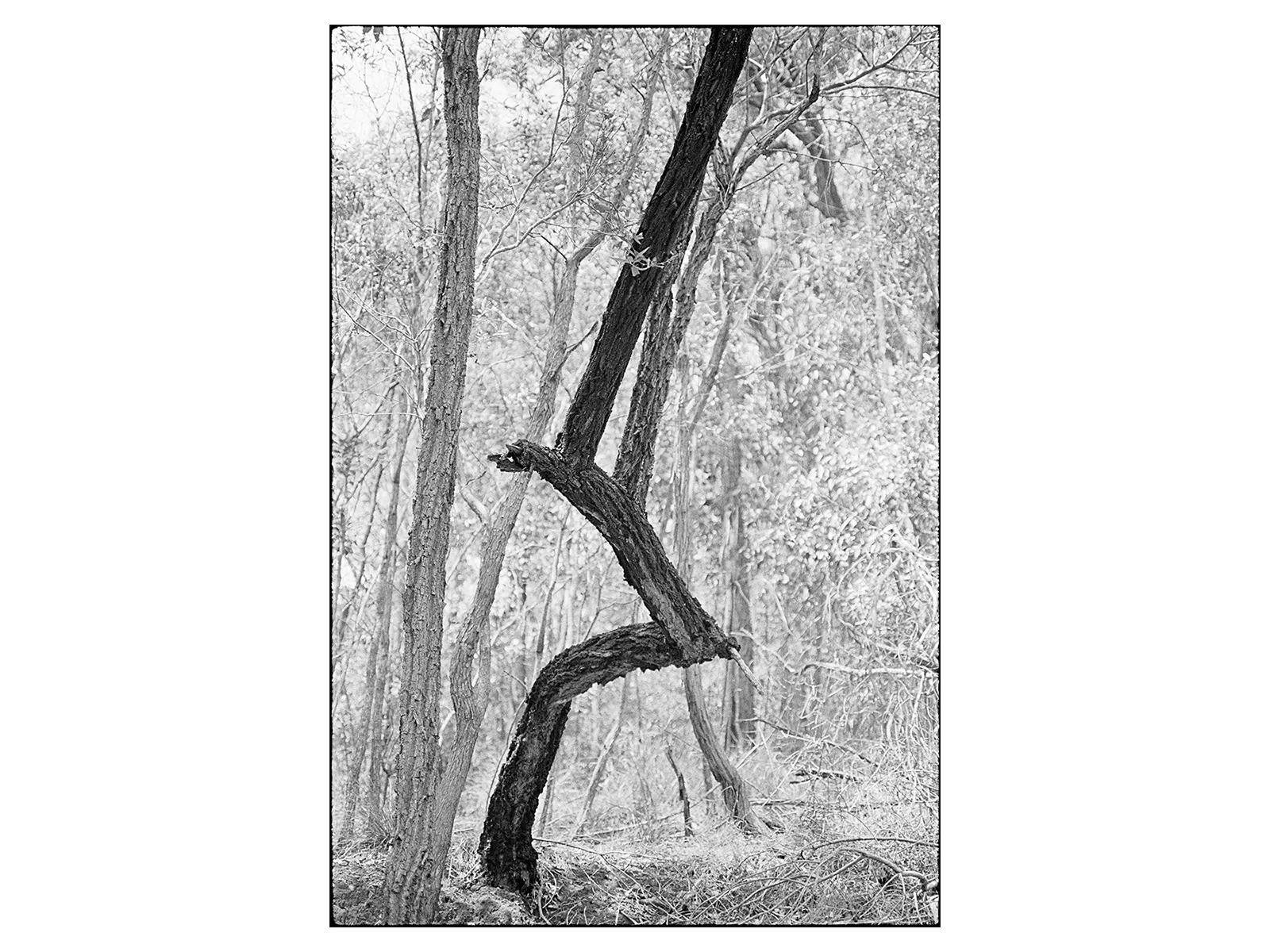 Photo by Renato Repetto ​​​​​​​