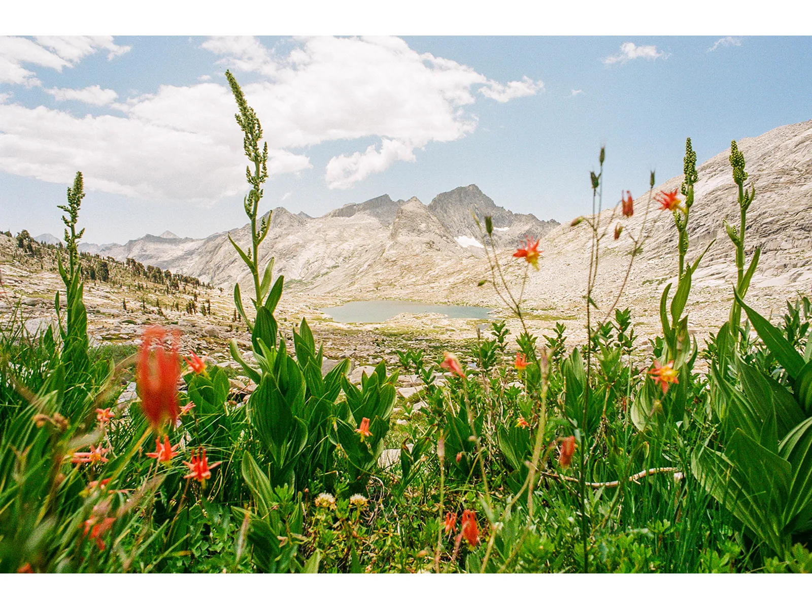 Photo by Tanner Wilson