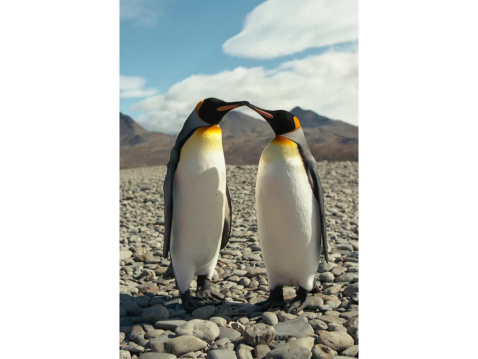 Photo by Willem van den Heever