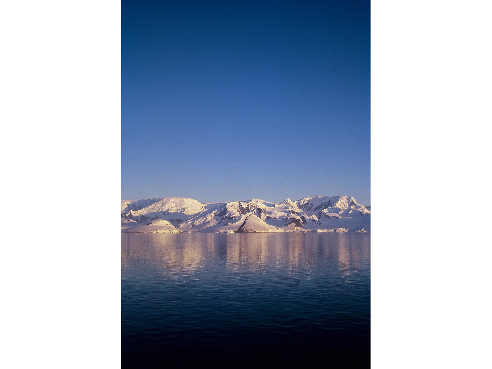 Photo by Willem van den Heever