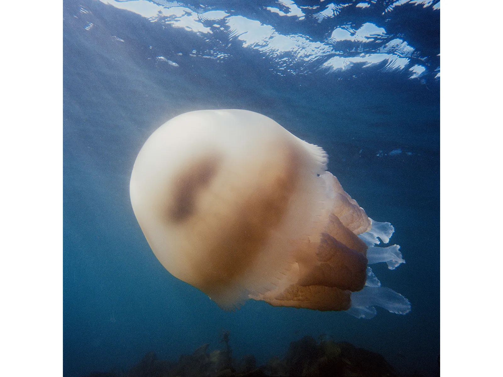 Photo by Barney Smith