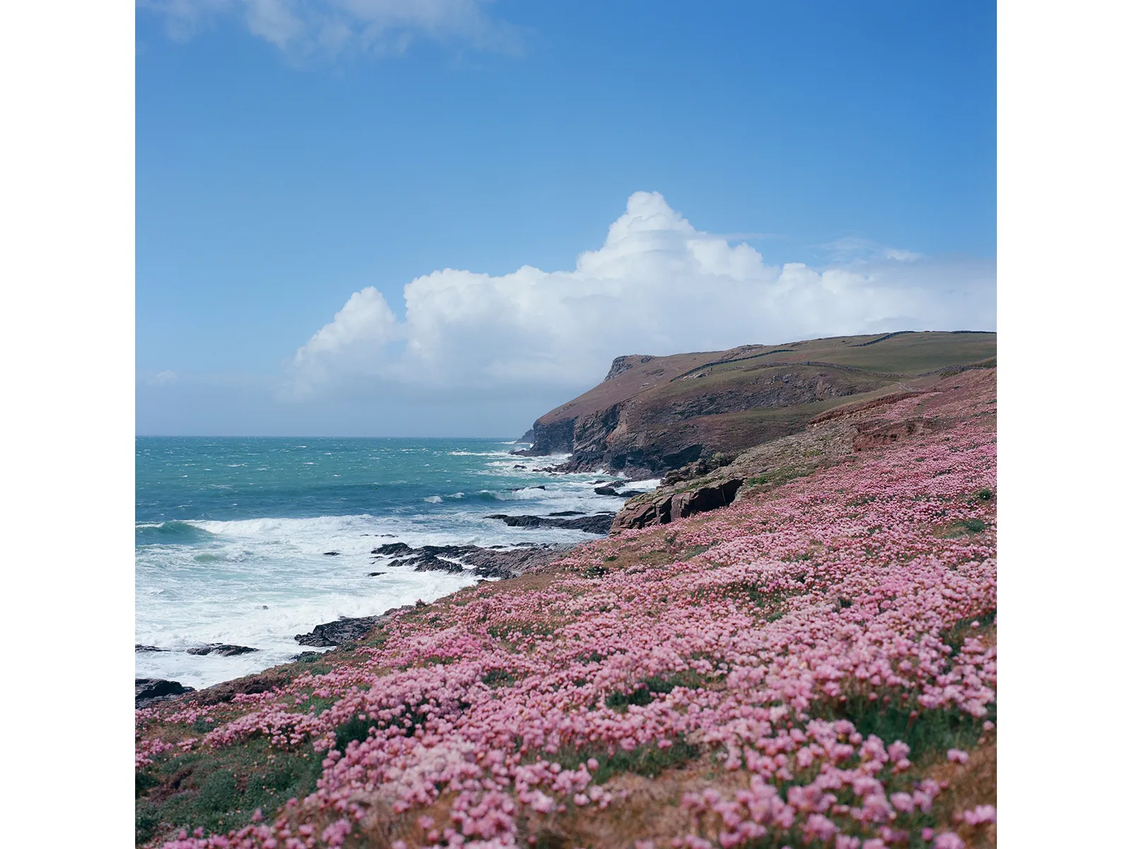 Photo by Barney Smith