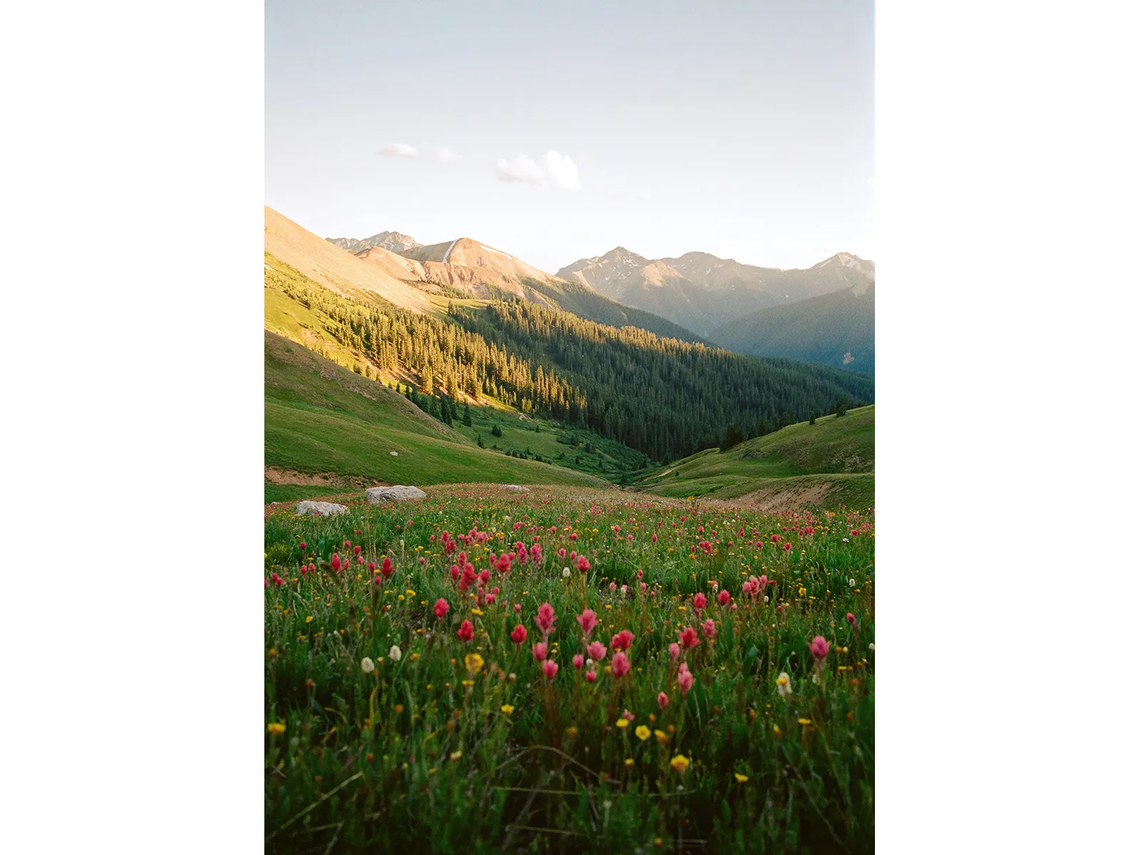 Photo by Jakob Lilja-Ruiz