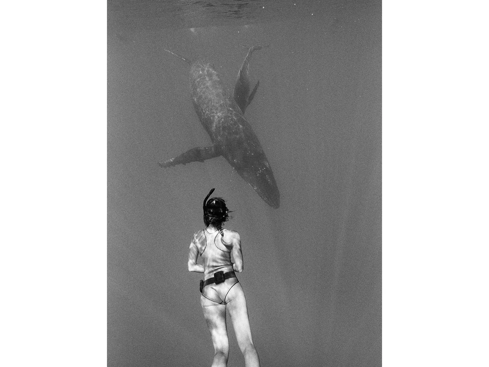 Photo by Maddie Hayes