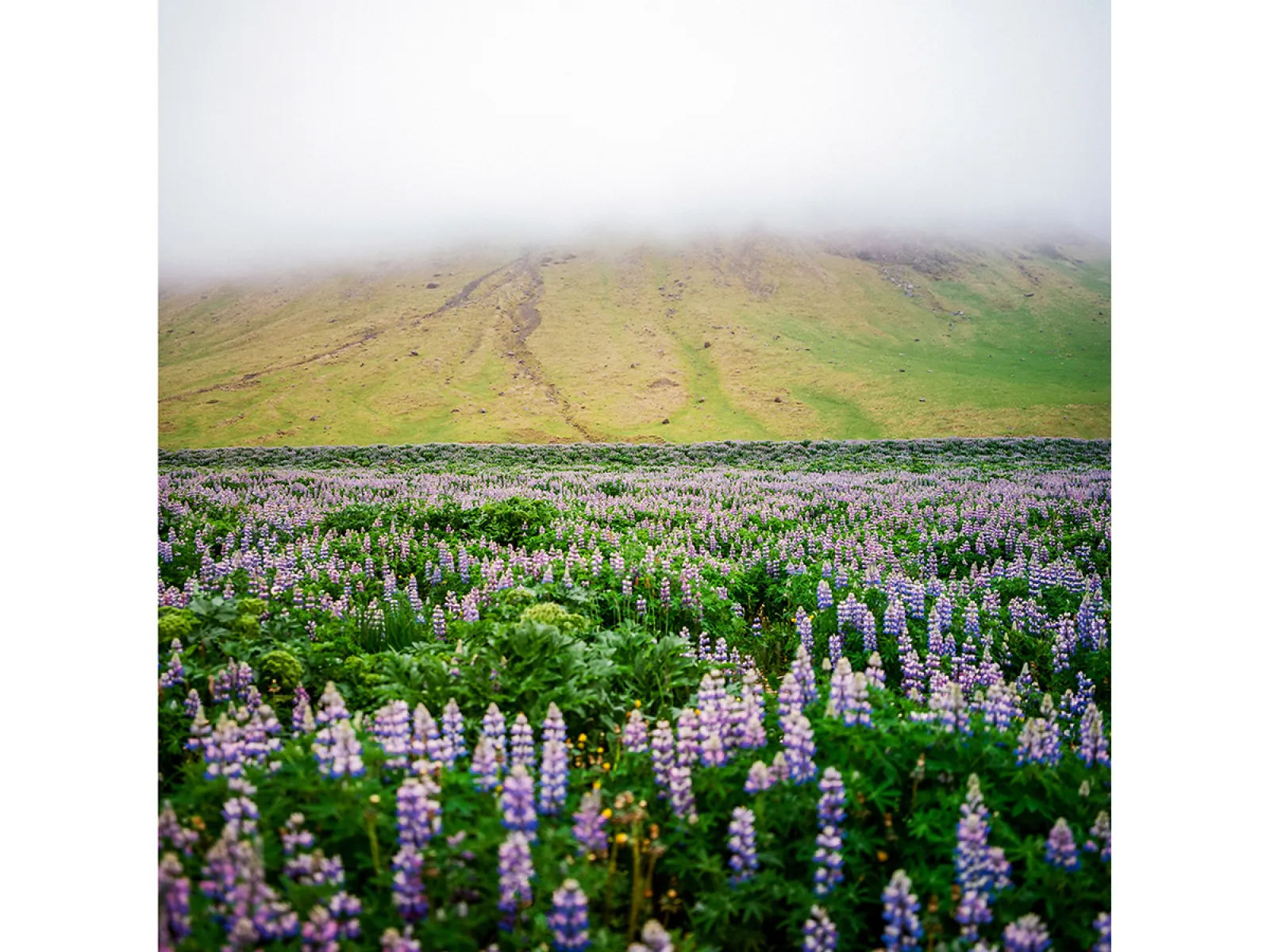 Photo by Taylor Grayson