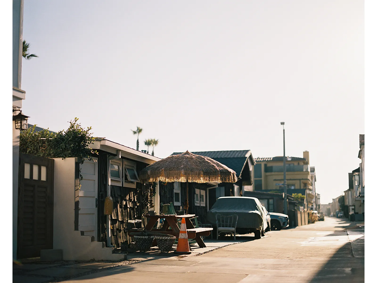 Photo by Tony Wodarck