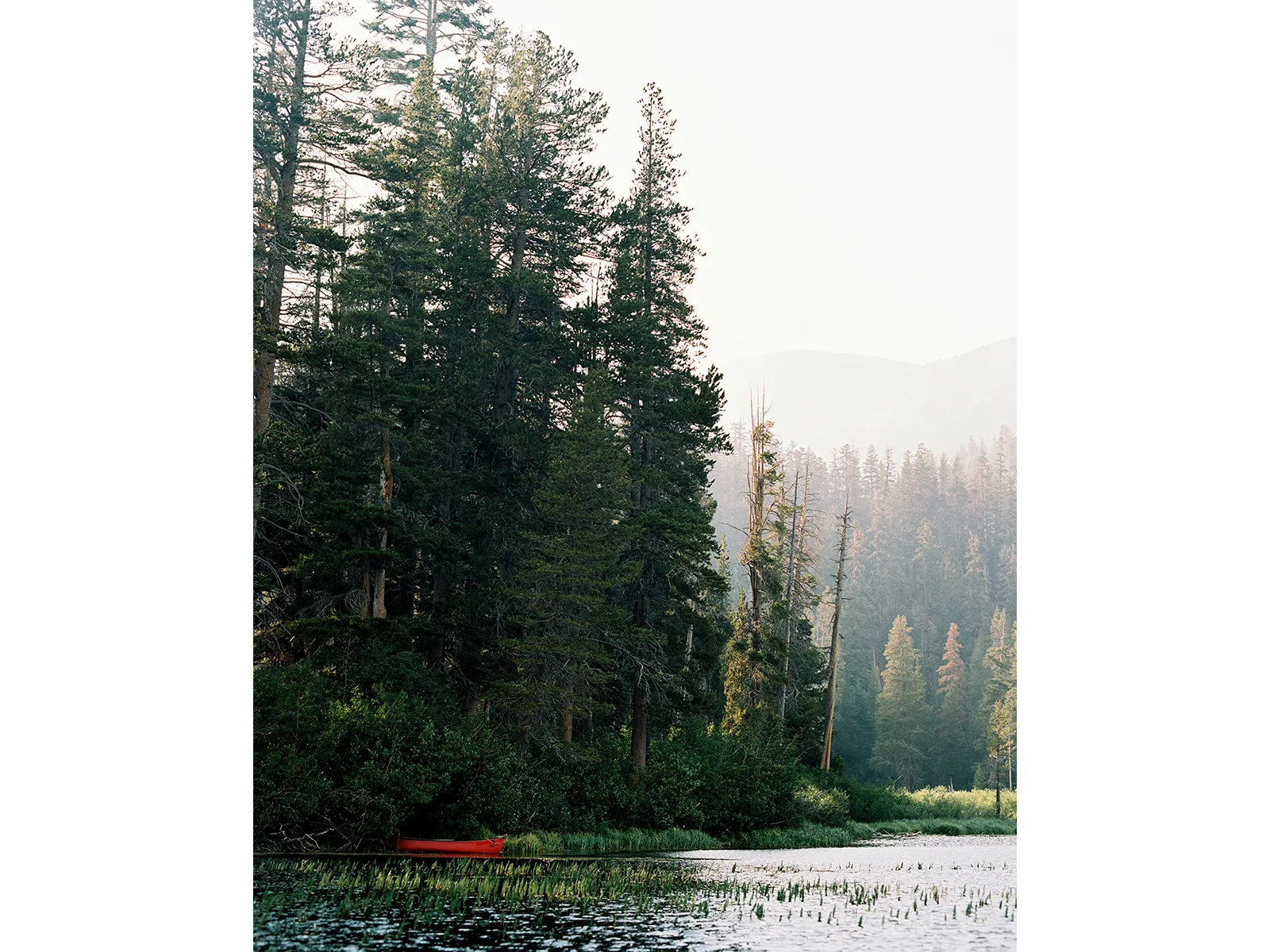 Photo by Tony Wodarck