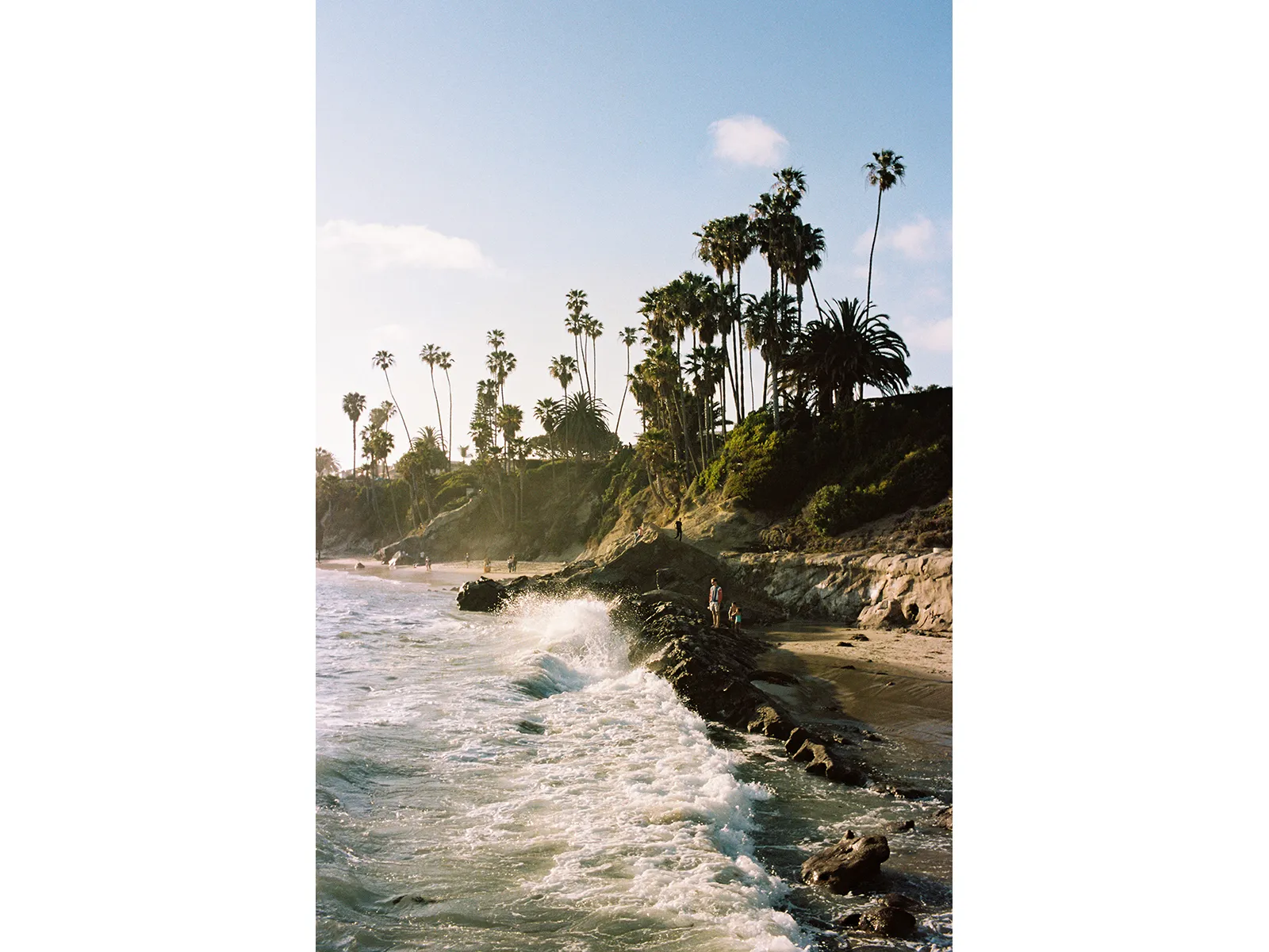 Photo by Tony Wodarck