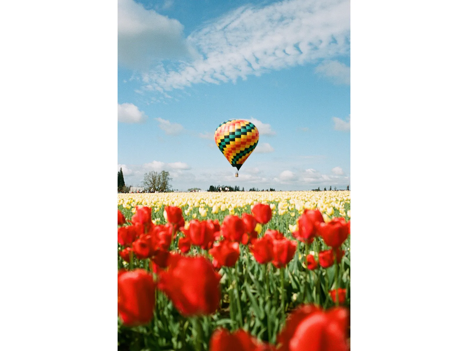 Photo by Alyssa Fernandez