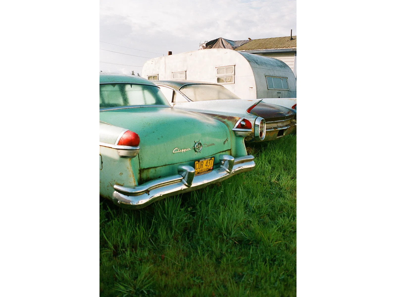 Photo by Alyssa Fernandez