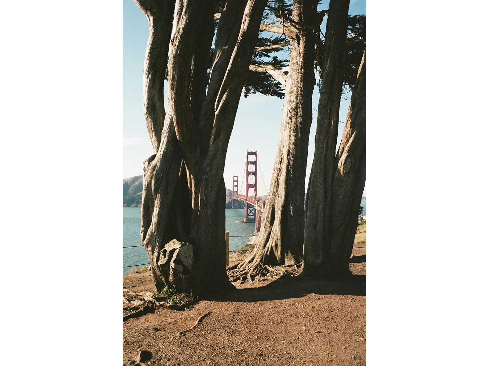 Photo by Alyssa Fernandez