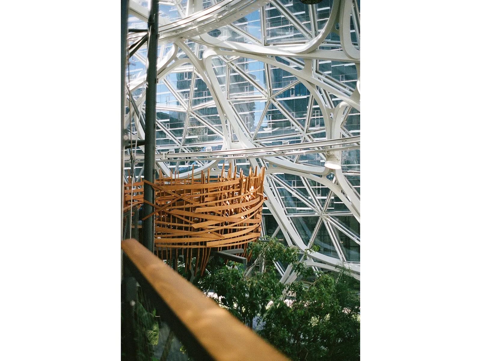 Photo by Alyssa Fernandez