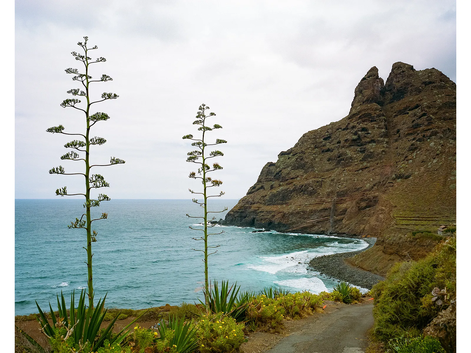 Photo by Philip Reekers