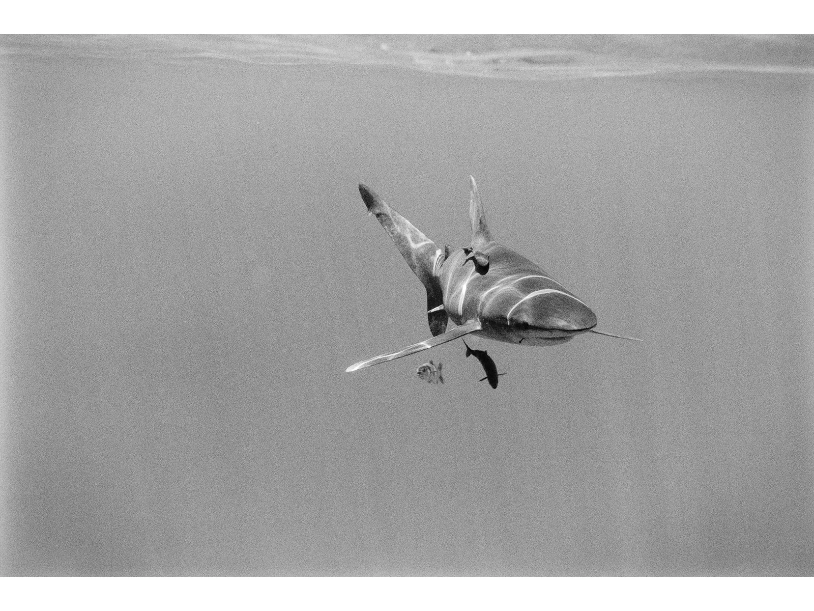 Photo by Connor Mazzola