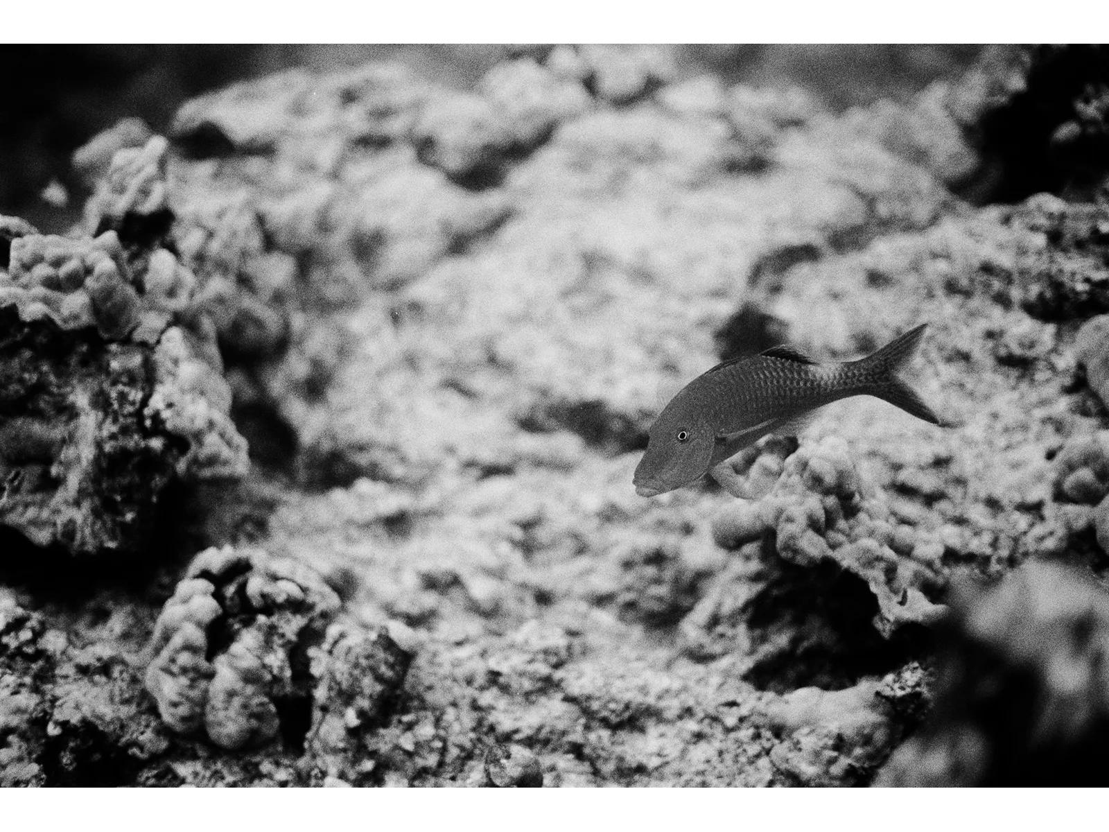 Photo by Connor Mazzola