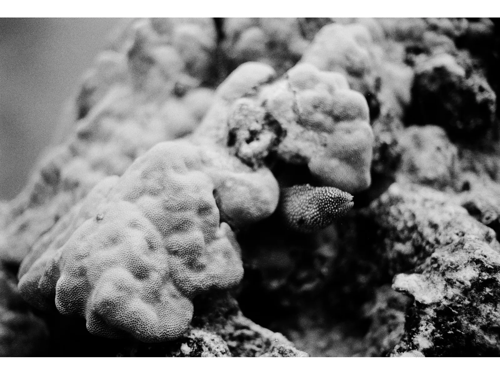 Photo by Connor Mazzola