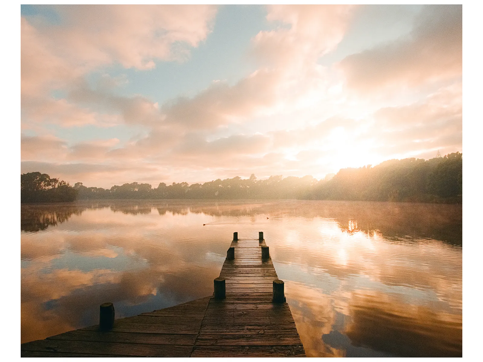 Photo by Erik Poppen