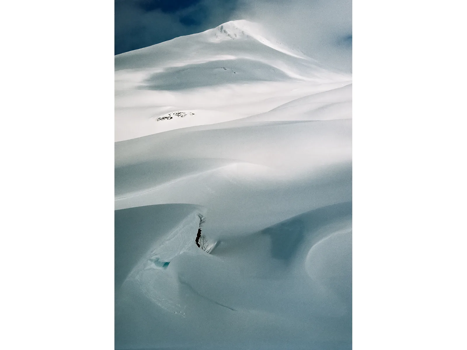 Photo by Wojtek Nowicki