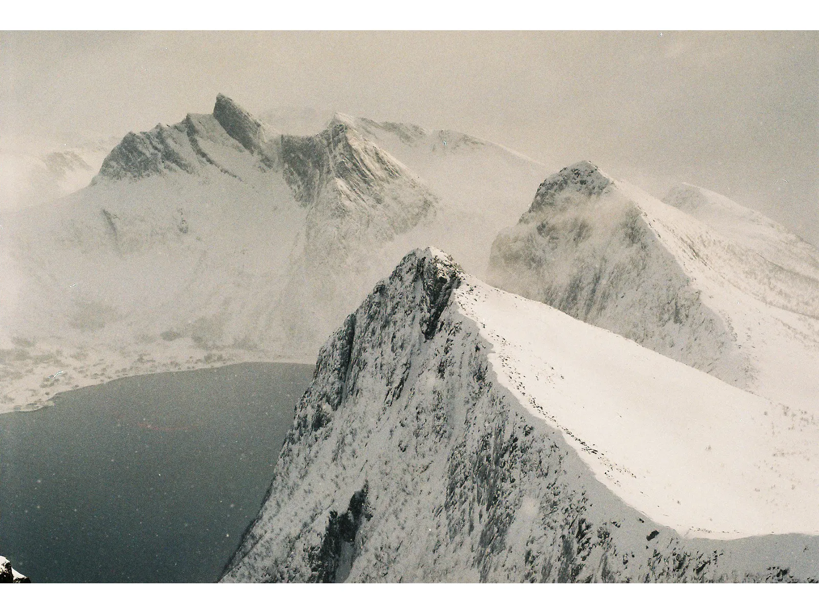 Photo by Wojtek Nowicki