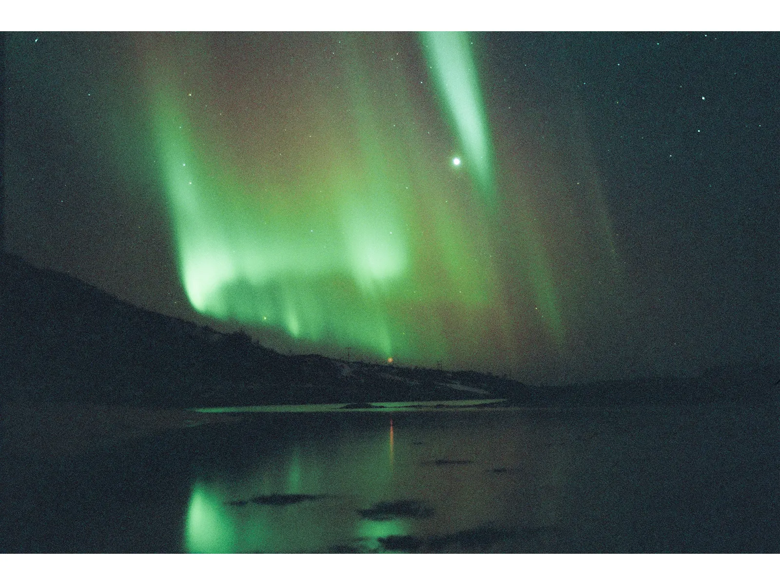 Photo by Wojtek Nowicki