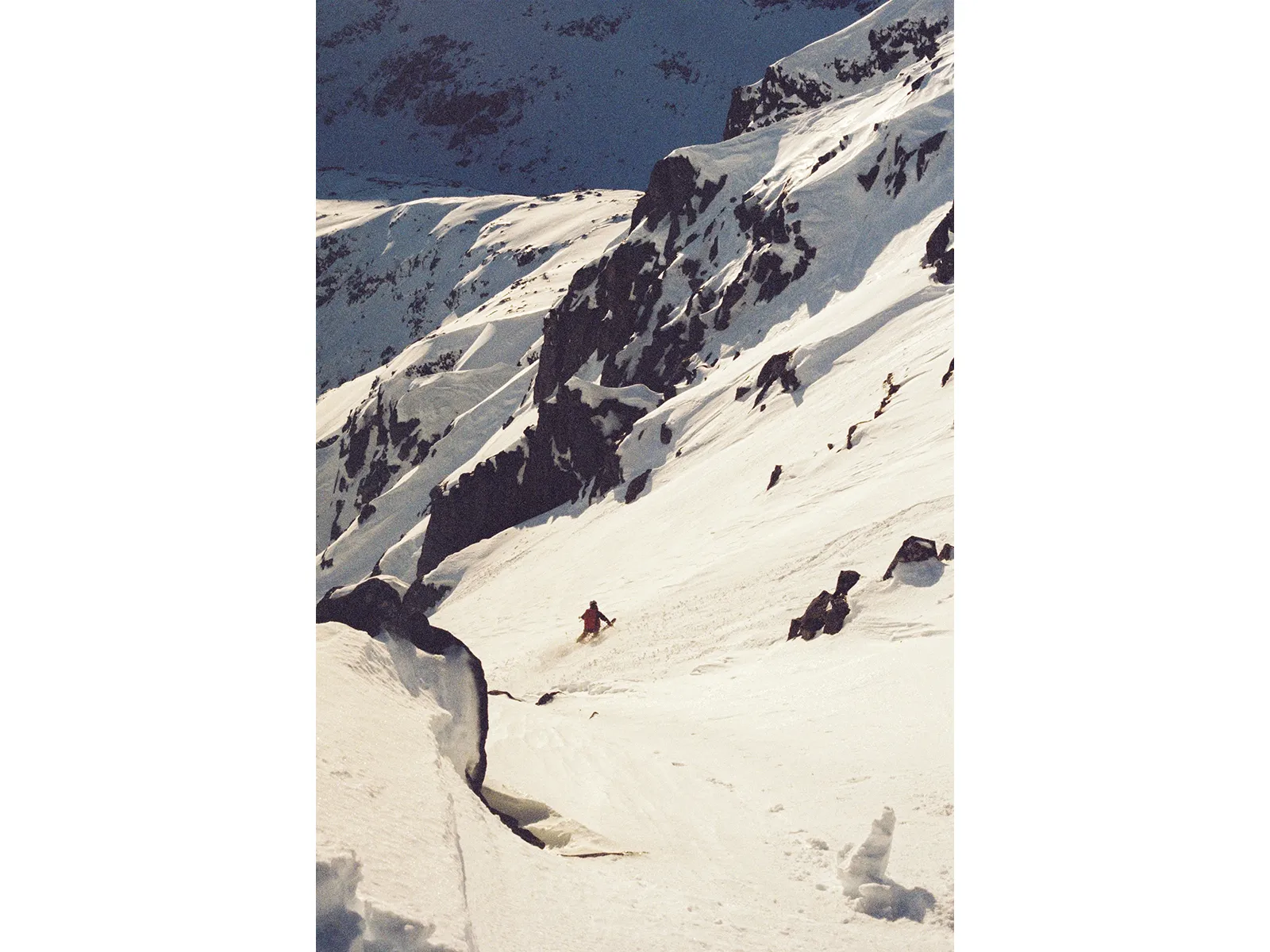 Photo by Wojtek Nowicki