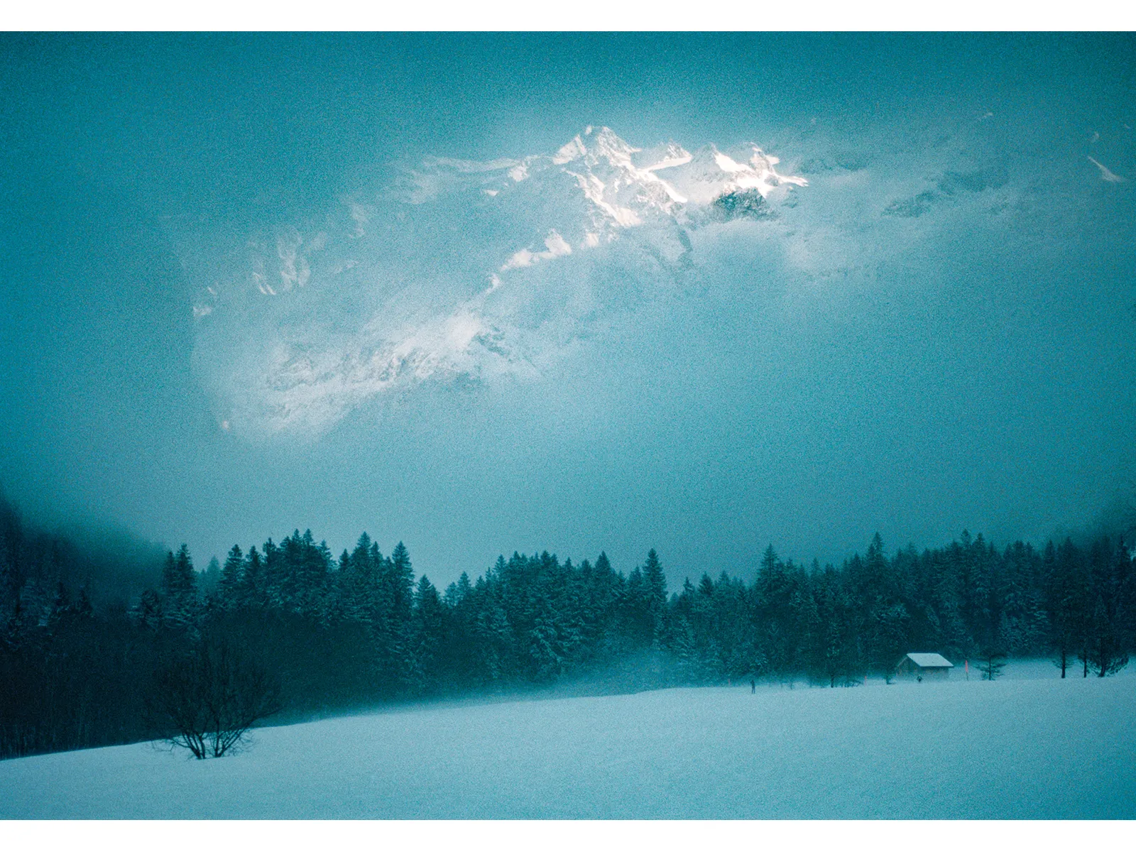 Photo by Wojtek Nowicki