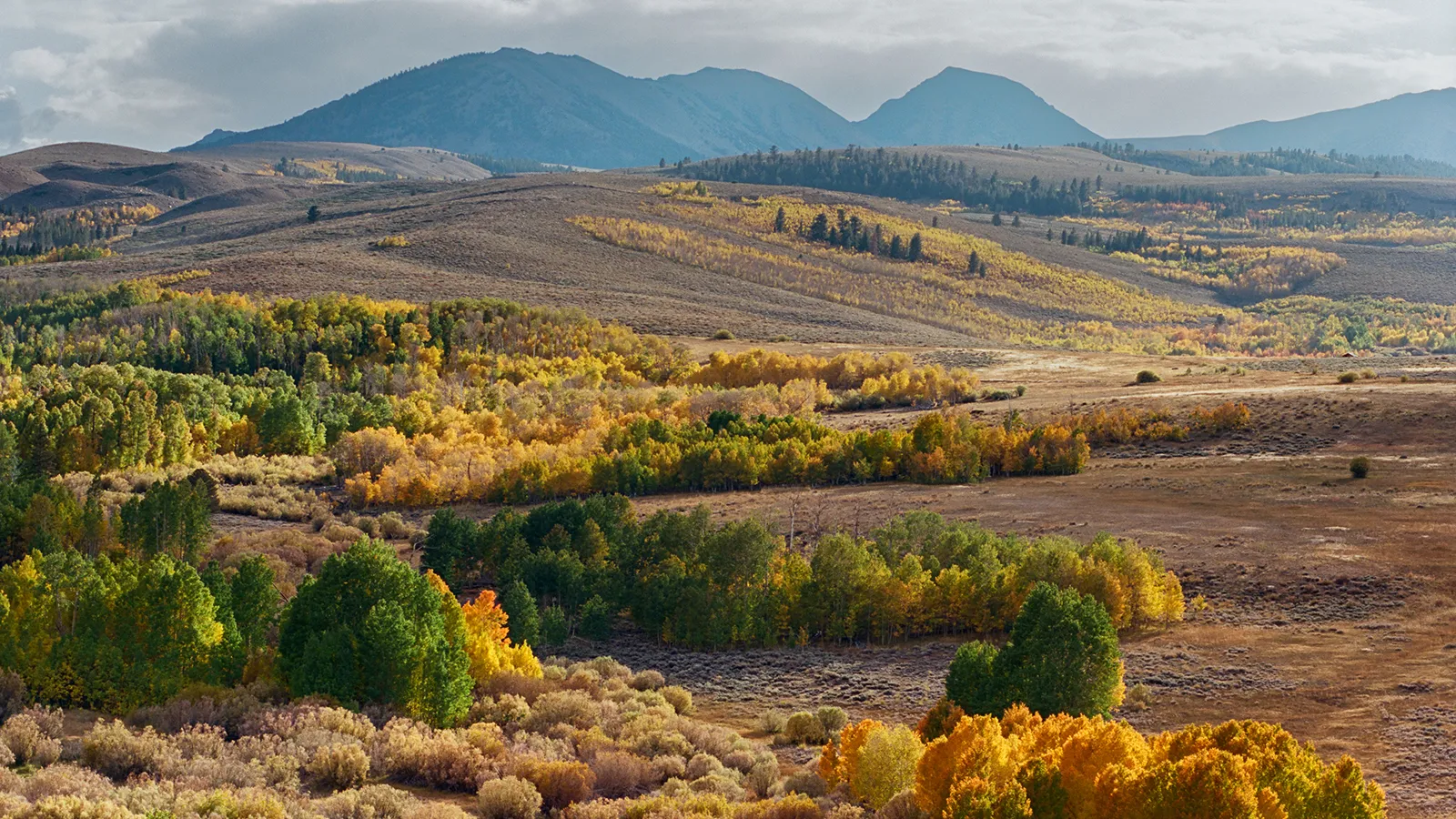 Photo by Calvin Chiu Ektar 100