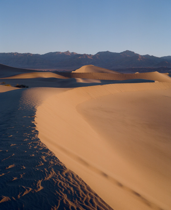 Dunes Tony Wodarck